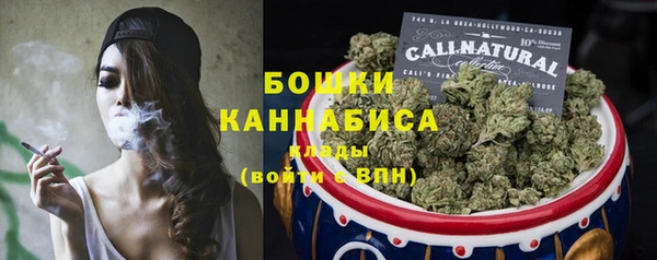 крисы Аркадак